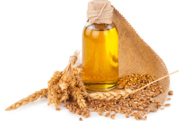 Weizenkeimöl gegen brüchiges Haar – viele wertvolle Inhaltsstoffe
